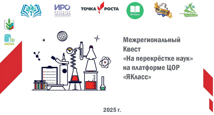 «На перекрестке наук» встретились школьники из 61 региона