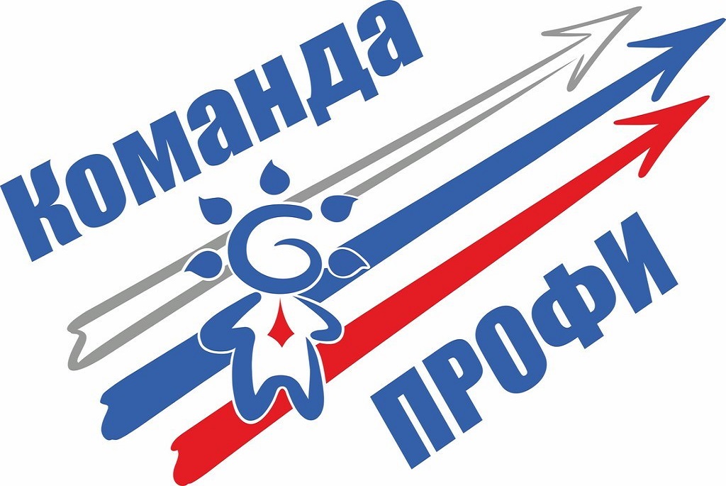 Специалисты ИРО войдут в новую региональную «Команду ПРОФИ»