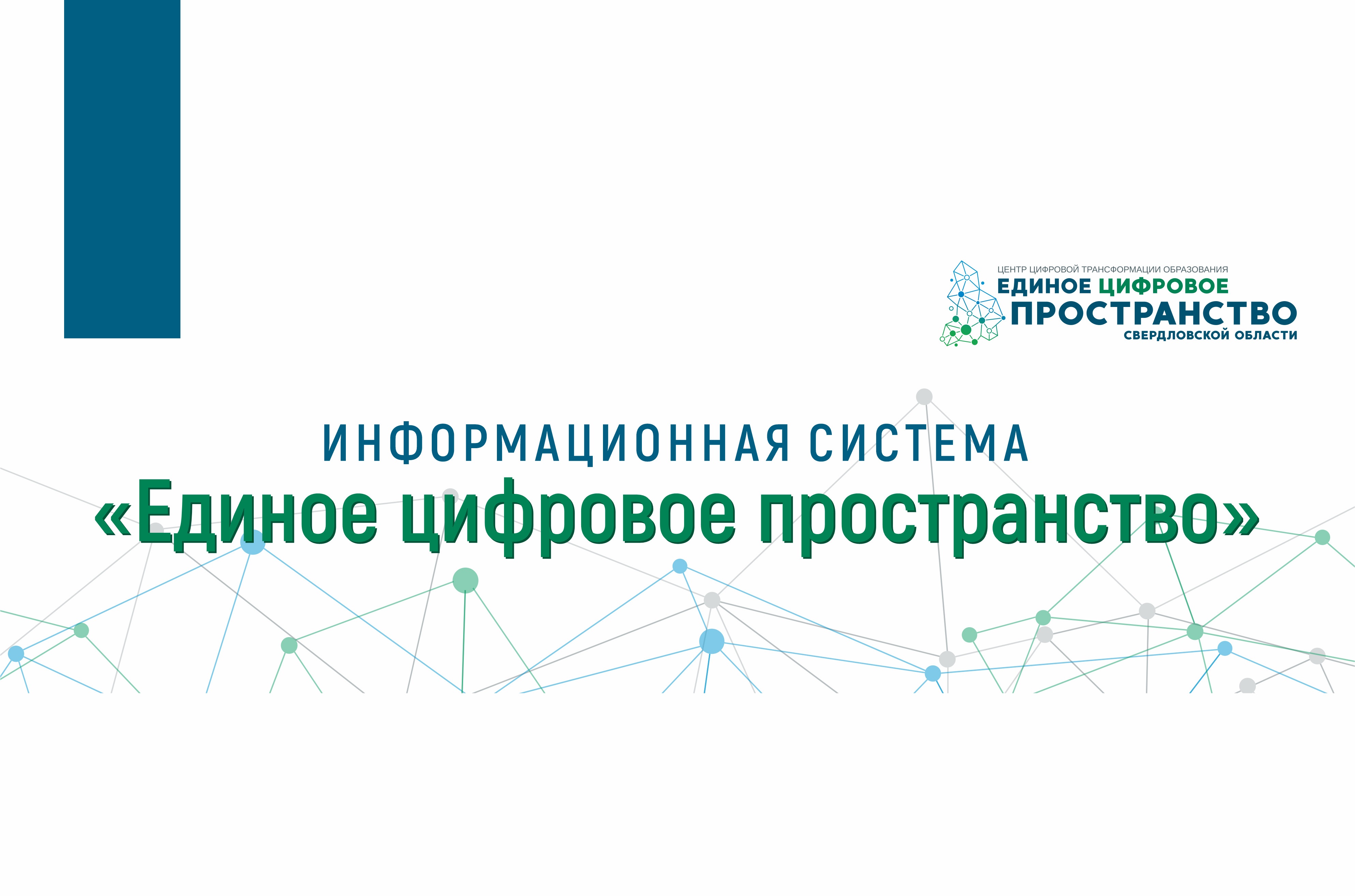 Единое цифровое пространство: эксперты сокращают дистанцию